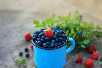 ripe blueberries in a metal mug. the summer harvest of berries. space for text