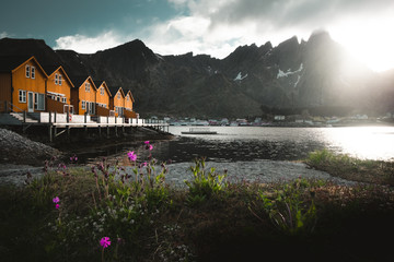 yellow houses by the sea and mountain