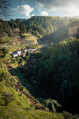 houses in the forest