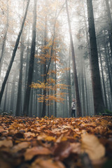 a person in the woods