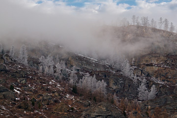 Russia. mountain Altai. Covered with frost the mountains around the valley of the river Chulyshman.