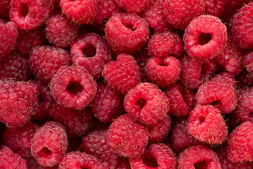 Fresh raspberry background. Close up. Top view. Summer food concept