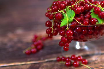 Macro photo of ripe red currants in a glass vase. Several branches hang from the vase