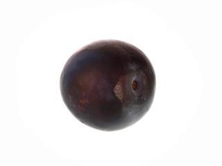 plum isolated on white background
