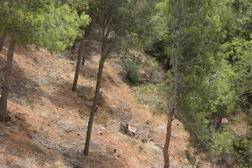playa de costa del sol málaga  en malaga