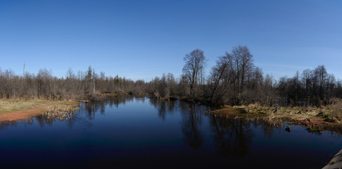 Fototapeta na wymiar A tributary of the river Izh. It's spring. Zavyalovsky district, Udmurt Republic, Russia
