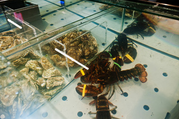 Oyster shell with lobster for sale at aquarium on supermarket.