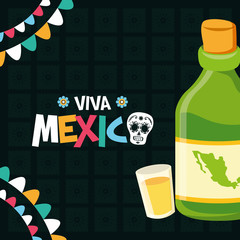 bottle tequila and shot celebration viva mexico
