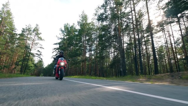 Rider is driving a bike along the road with pines. Motorcyclist racing his motorcycle.