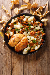Homemade roasted chicken breast with new potatoes and chanterelle close-up on a plate. Vertical top view