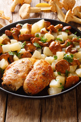 Fried chicken breast with potatoes and chanterelles close-up on a plate. vertical