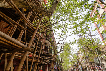 Babusgerüst zum Bauen, Baum und Straße in Shanghai