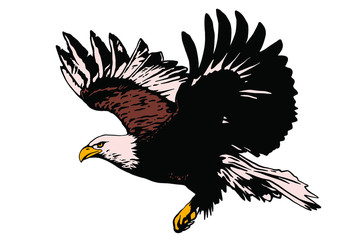 Vector bird. Eagle illustration. Good for logos and posters.