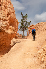 hiker in bryce canyon in utah usa