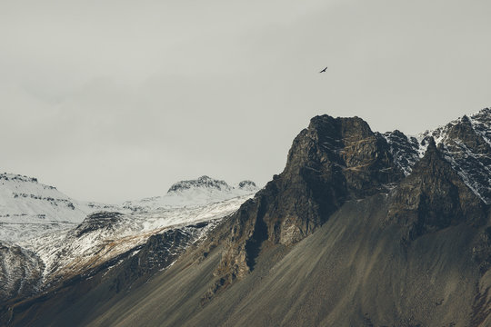 A bird flies alone above the mountains of Sn&aelig;fellsnesvegur, in western Iceland.