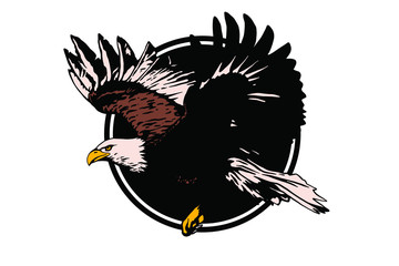 Vector bird. Eagle illustration. Good for logos and posters.
