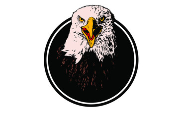 Vector bird. Eagle illustration. Good for logos and posters.