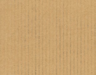 Fototapeta premium brown corrugated cardboard texture background