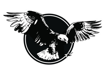 Vector bird. Eagle illustration. Good for logos and posters.
