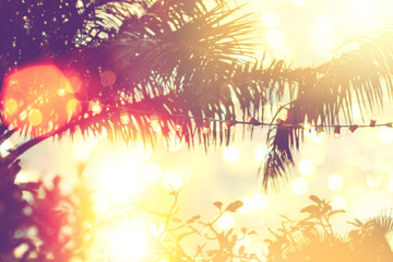 blurred light bokeh with coconut palm tree background on sunset, yellow string lights with bokeh...