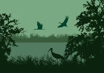 Fotobehang Realistic illustration of wetland landscape with river or lake, water surface and birds. Stork flying under green morning sky, vector © Forgem