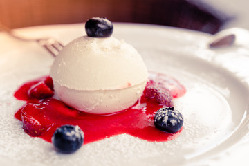 Delicious Italian dessert Panna Cotta served with strawberry sauce and fresh blueberries on a white plate