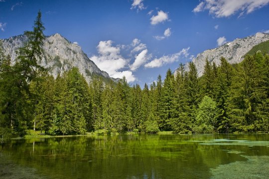 Pfarrerteich, pond, Tragoess, Styria, Austria, Europe