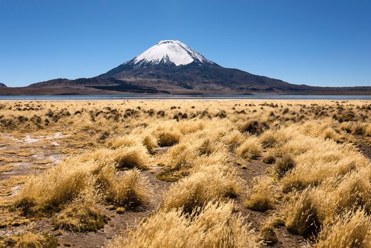 Volcano Parinacota, altitude 6348m, Lake Chungar&middot;, Lauca National Park, Putre, Parinacota province, Regi&Ucirc;n de Arica y Parinacota, Chile, South America
