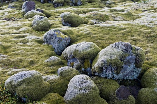 Elongate Rocks Skaft Images – Browse 5 Stock Photos, Vectors, and Video | Adobe Stock
