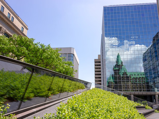 green meadow in Ottawa downtown