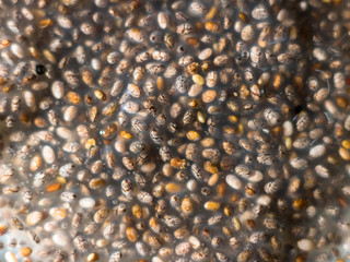 Top view on rehydrated chia seeds Salvia hispanica forming natural gel. Super and healthy food at it's simplest form.