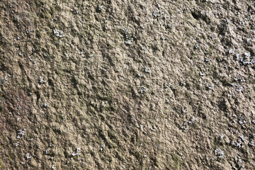 Texture of wall on building