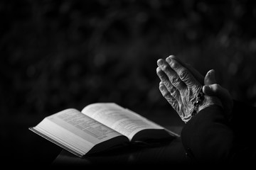 Praying Hands with Open Book, Rosary