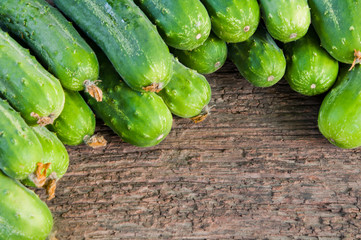 Fresh organic cucumbers on the old wooden background