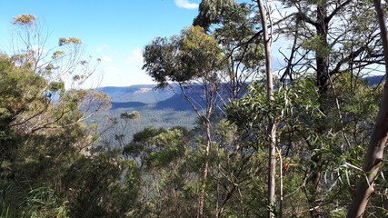 Blue Mountains 10, New South Wales, Australien