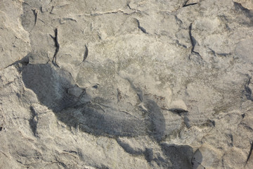 The broken part of the stone on the rock
