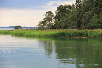 Trees and grass on shore of a large lake