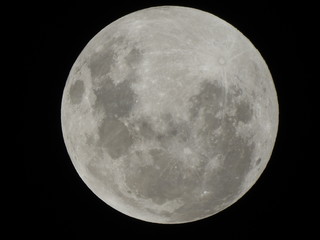 moon in the sky