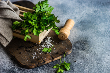 Herb concept with salt and pepper