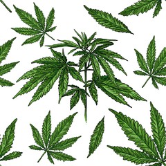 Hand drawn colorful hemp plant. Cannabis background. Vector seamless pattern.