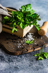 Herb concept with salt and pepper