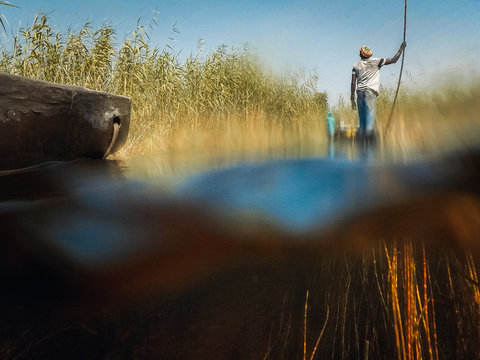 Low angle view of man poling in dugout canoe, Okavango Delta, Botswana