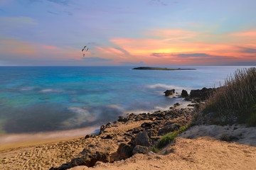Island of the Mediterranean Sea and sunset with seagulls