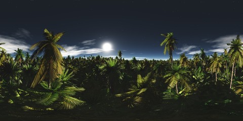 HDRI, environment map , Round panorama, spherical panorama, equidistant projection, panorama 360, night jungle
