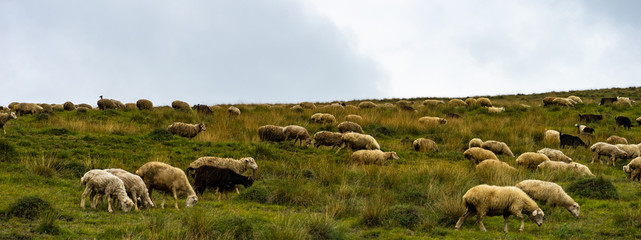 Rural mountain landscape