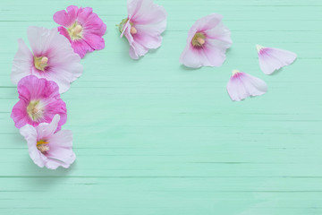 Fototapeta na wymiar mallow flowers on green wooden background