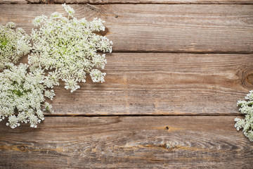 white wildflowers on old wooden background