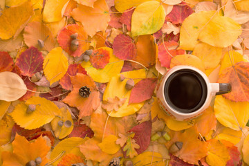  cup of tea on background autumn leaves