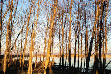 laguna de lor at sunset