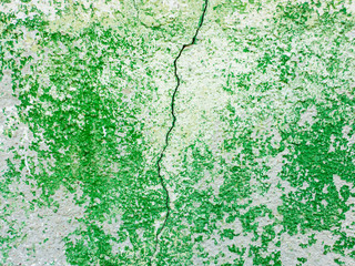 Split abstract surface cracked in the middle as green paint peeling off a concrete wall background. Old grungy, weathered painted construction structure. Cracked, dirty texture with plaster falling
